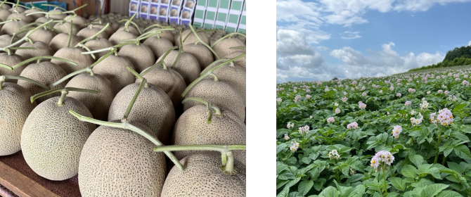 ヘッダーイメージ